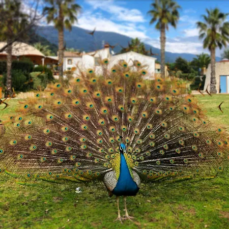 Can Jordi Del Montnegre Сasa de vacaciones Sant Iscle De Vallalta